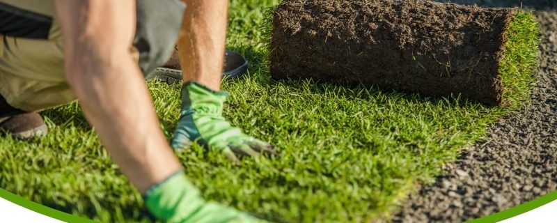 Can-Turf-Be-Laid-Over-Old-or-Dead-Grass-to-Save-Time (1)