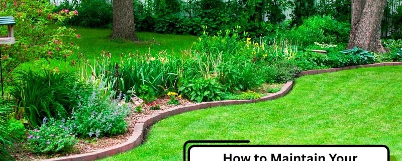A well-maintained garden showcasing how to manage your landscape through seasonal change with lush green grass, flowering plants, and trees.