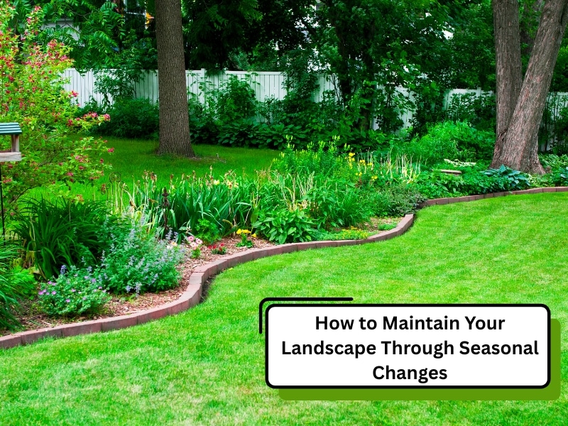 A well-maintained garden showcasing how to manage your landscape through seasonal change with lush green grass, flowering plants, and trees.