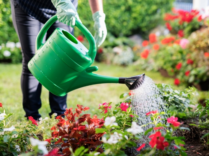 Is-Watering-Different-in-Each-Season-for-Landscape-Care