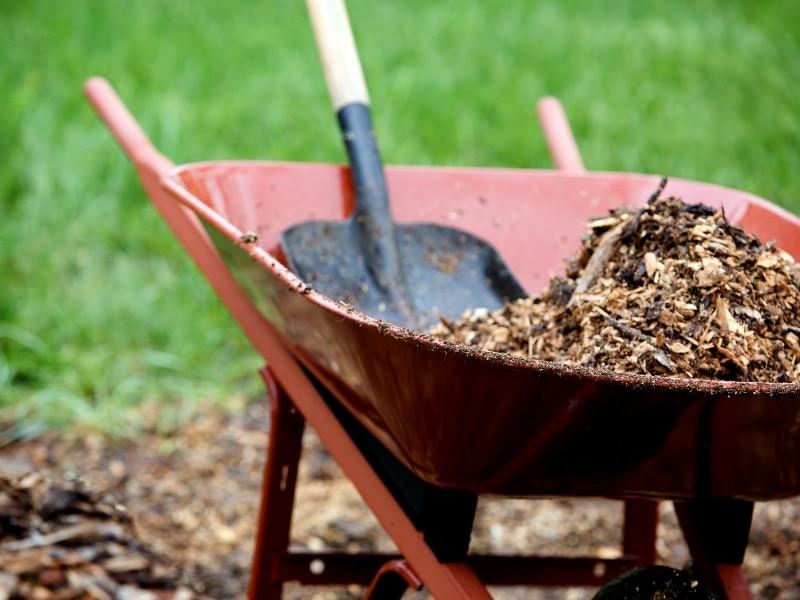 Which-Landscaping-Practices-Are-Essential-for-Each-Season