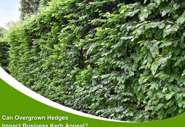A thick, overgrown hedge with a text overlay asking if overgrown hedges impact business kerb appeal, highlighting maintenance concerns.