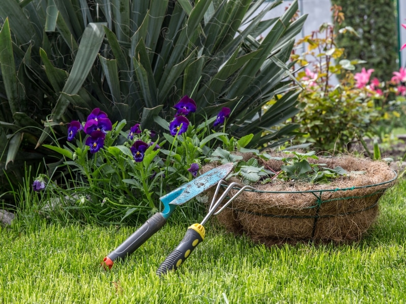Is-expert-weeding-a-sustainable-option-for-your-garden