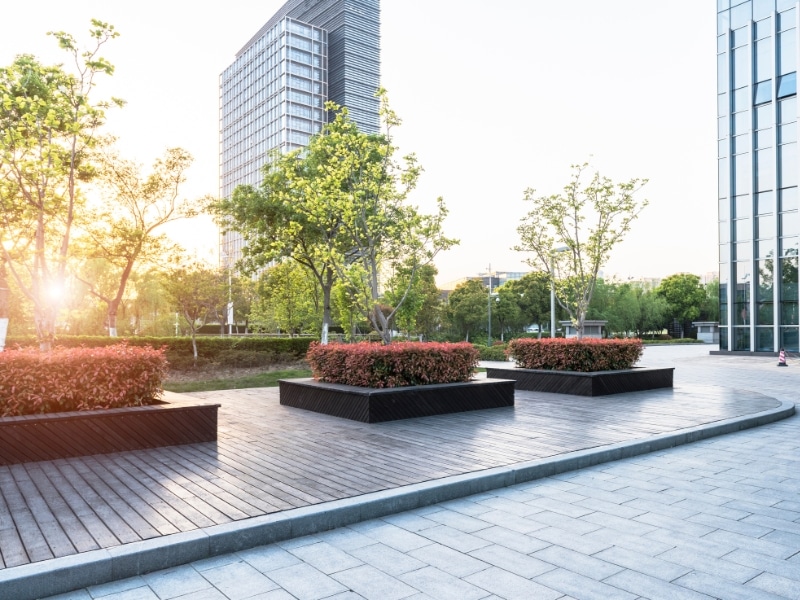 Why-should-businesses-invest-in-professional-hedge-trimming-services