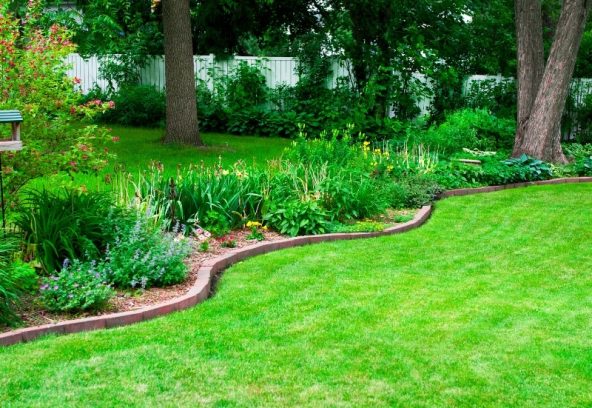 Beautiful backyard garden with edged lawn and dense plants showing expert lawn care landscaping