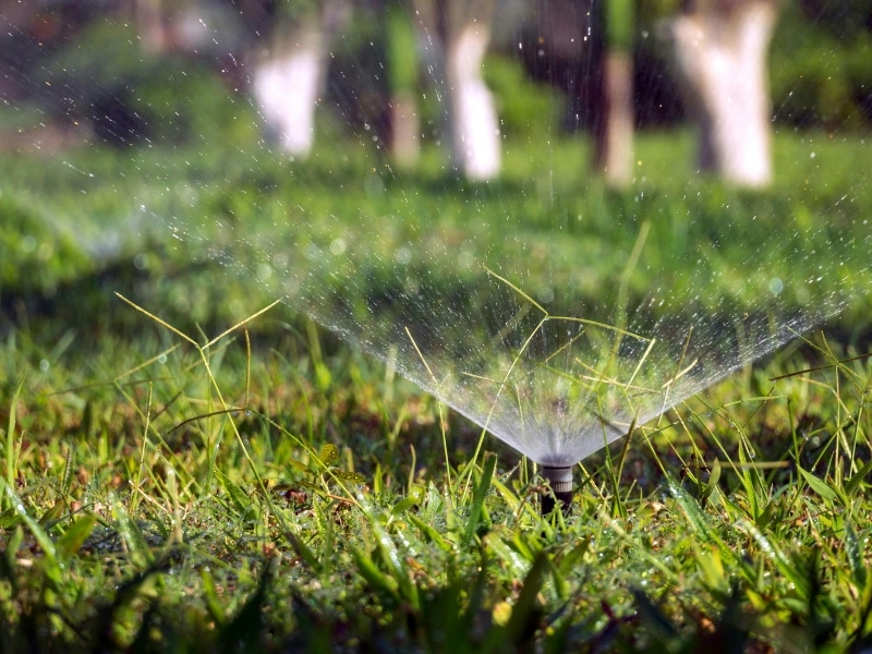 Automatic sprinkler system spraying water during routine maintenance of garden to keep grass green and hydrated.