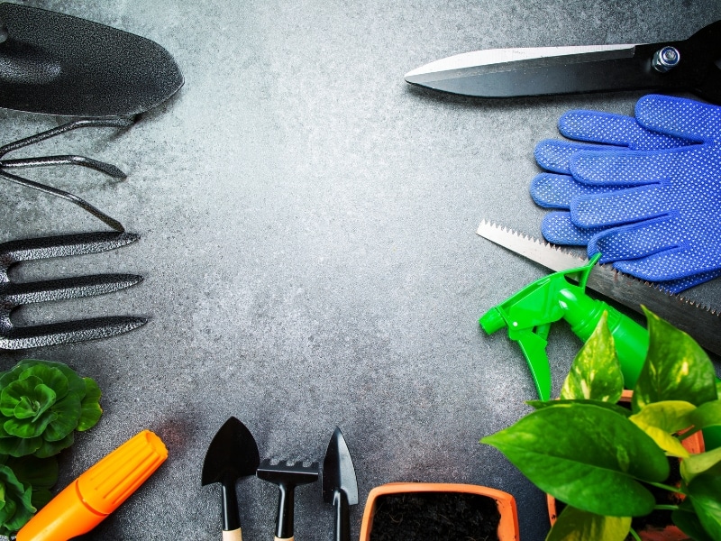 Hand tools and plants are vital for designing your garden well.

