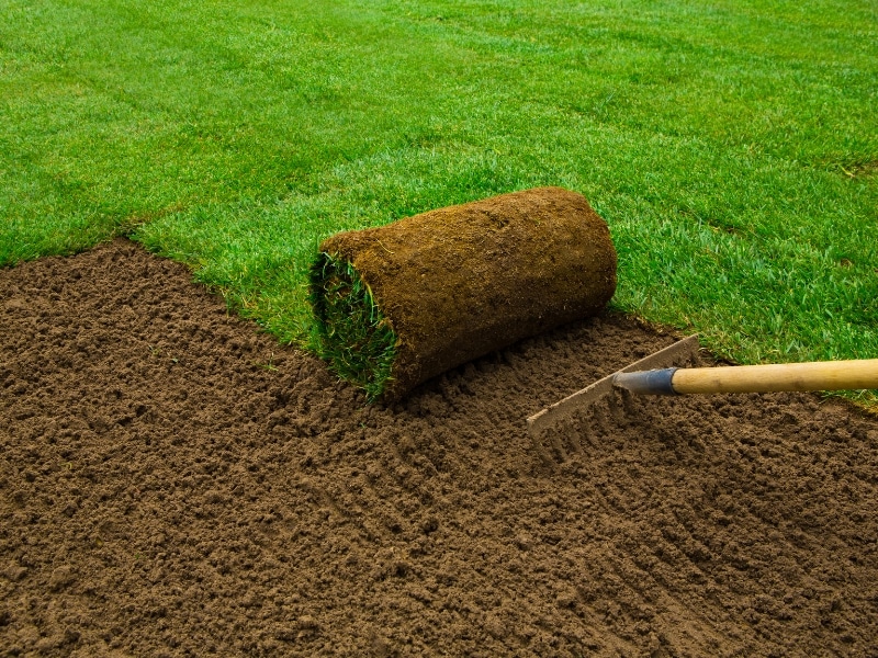 Image presents Turf Laying Services