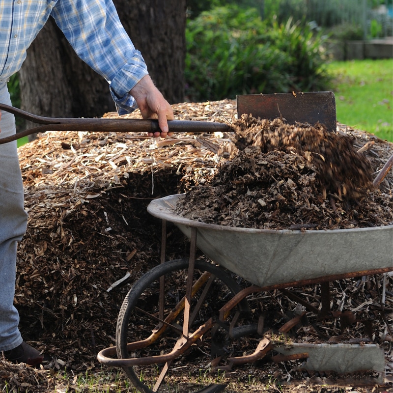 On Page SEO June 2023 - Hassle-Free Winter Mulch Services