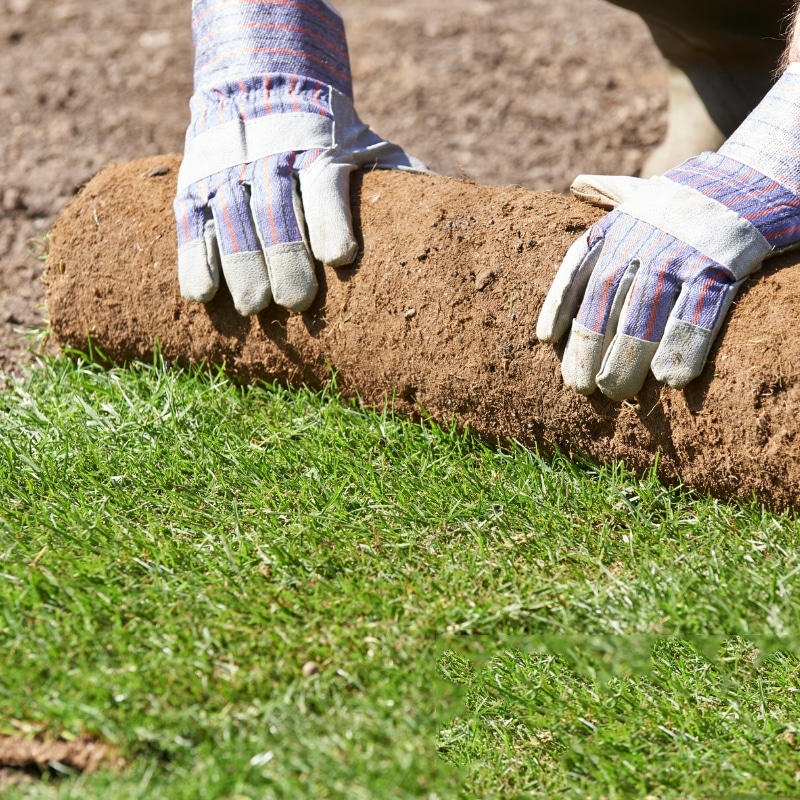Copy of On Page SEO June 2023 - Laying Turf is What We’re Good