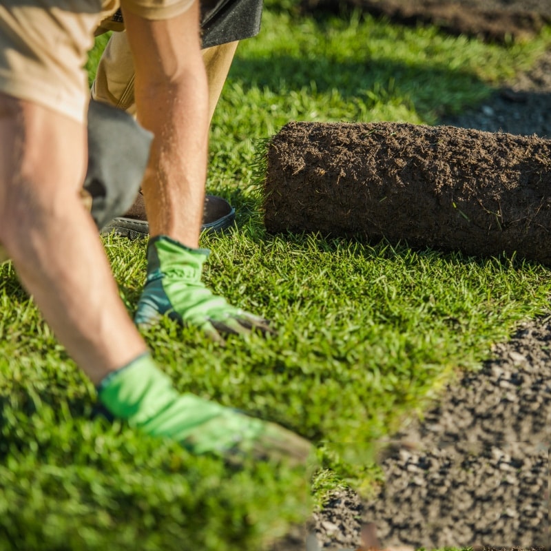 Copy of On Page SEO June 2023 -  Professional Turf Laying Sydney