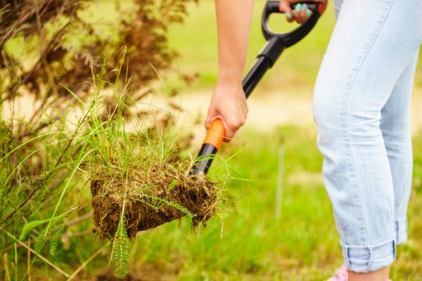 Rubbish-and-land-removal3
