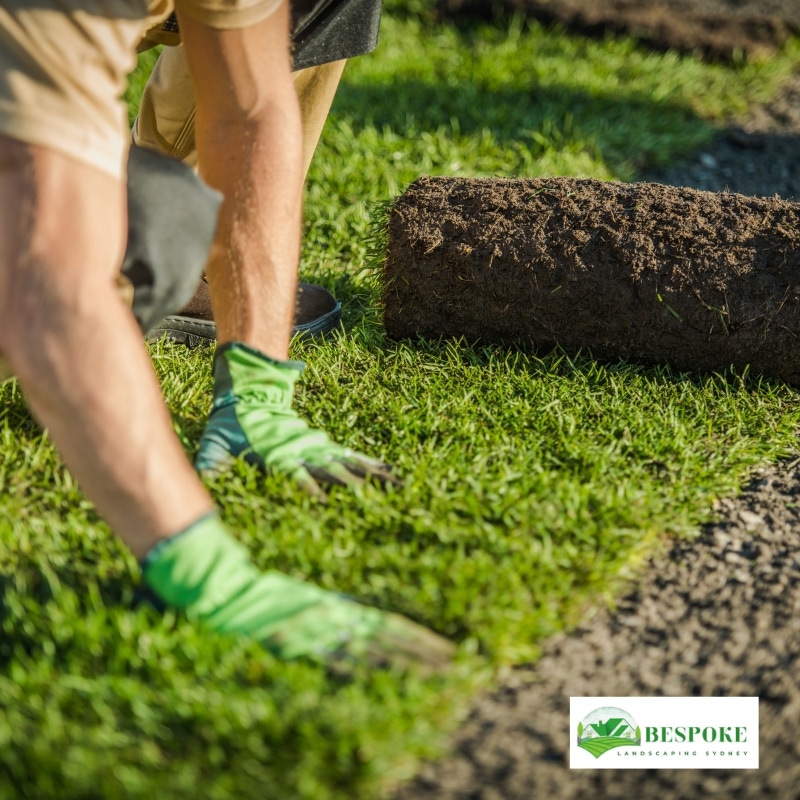 Turf laying by a worker wearing green gloves, aligning fresh grass rolls for a perfect fit.