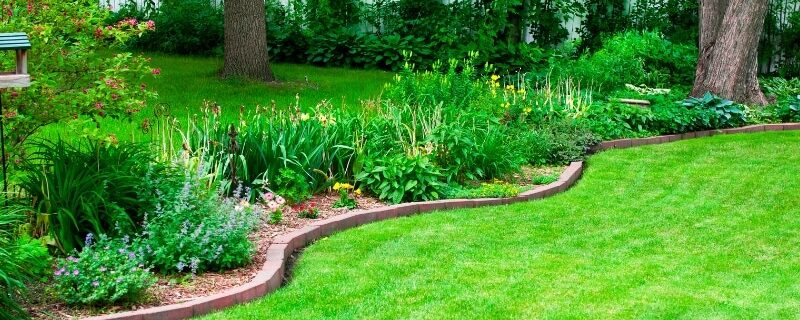 Beautiful backyard garden with edged lawn and dense plants showing expert lawn care landscaping