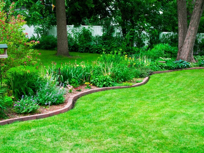Beautiful backyard garden with edged lawn and dense plants showing expert lawn care landscaping